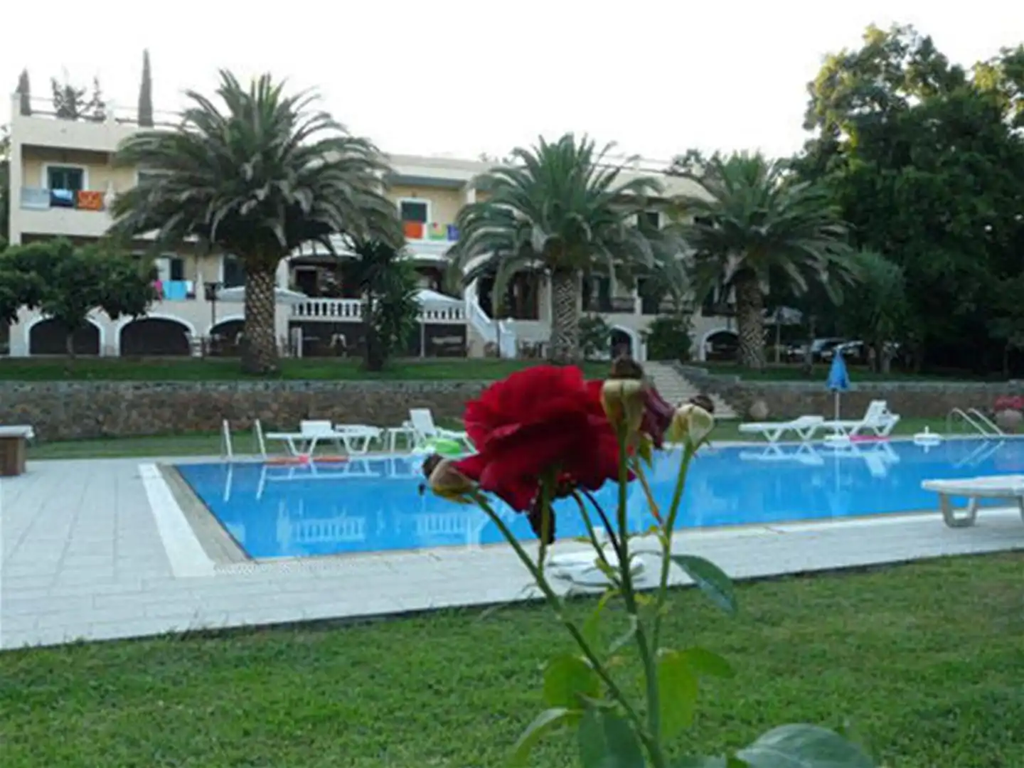 Fiori Hotel Pool