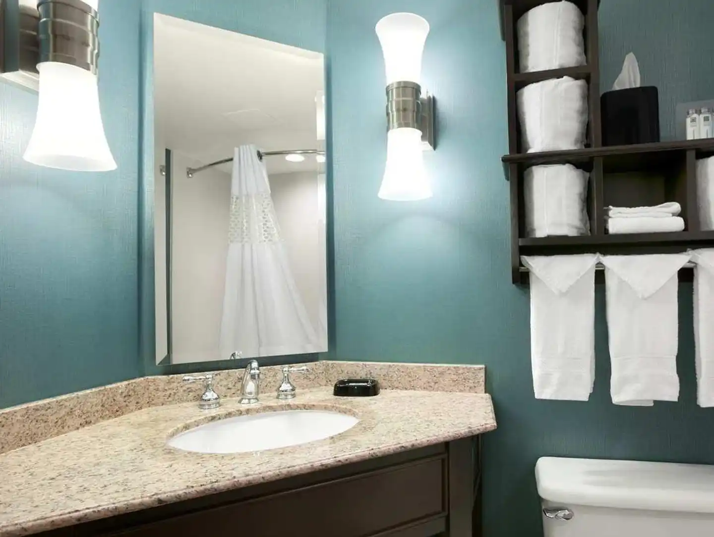 Hampton Inn Chicago-Midway Airport Badezimmer