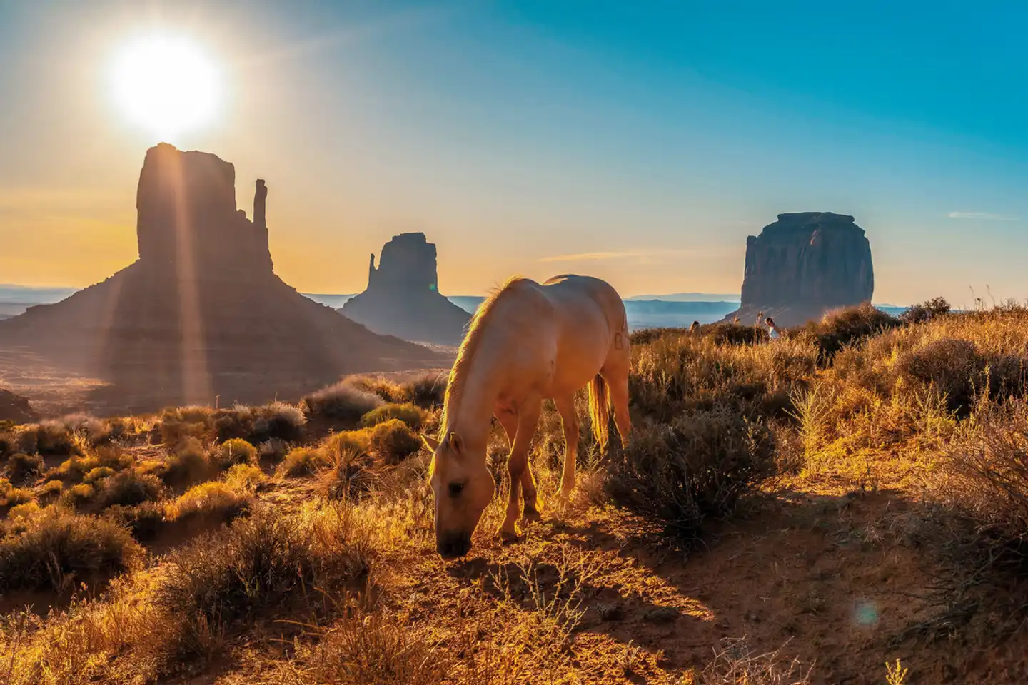 Canyon Explorer (San Francisco - Las Vegas) Tiere