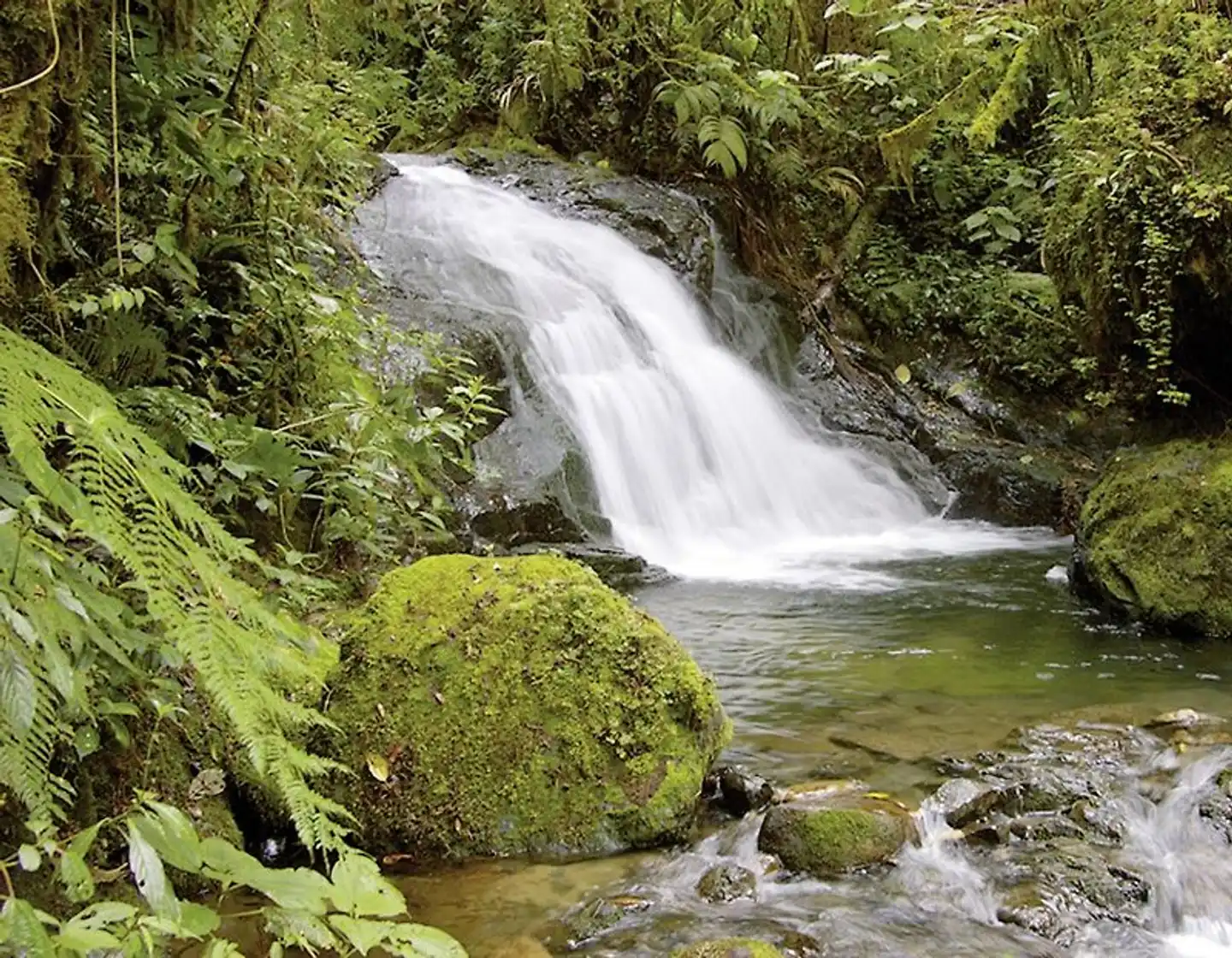 Best of Panama Landschaft
