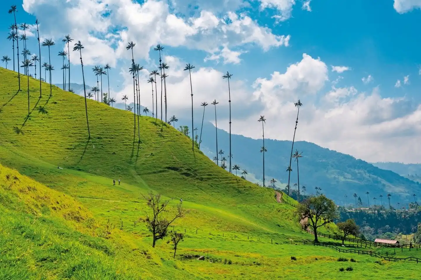 Panama & Kolumbien: Ein Traum von Vielfalt Landschaft