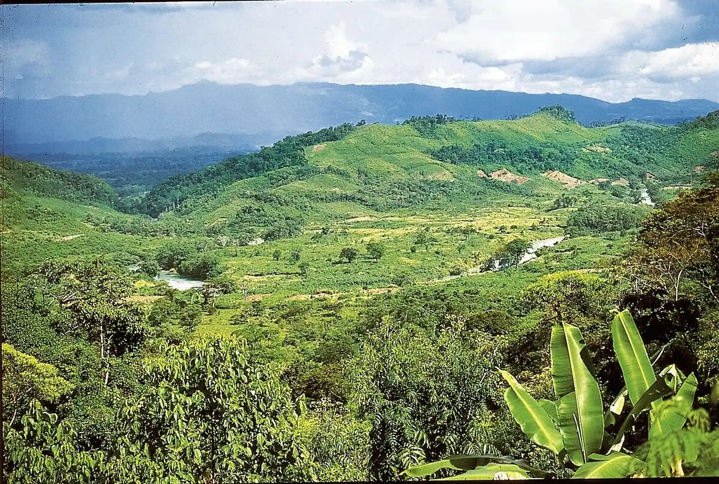 Yucatán Rundreise Landschaft