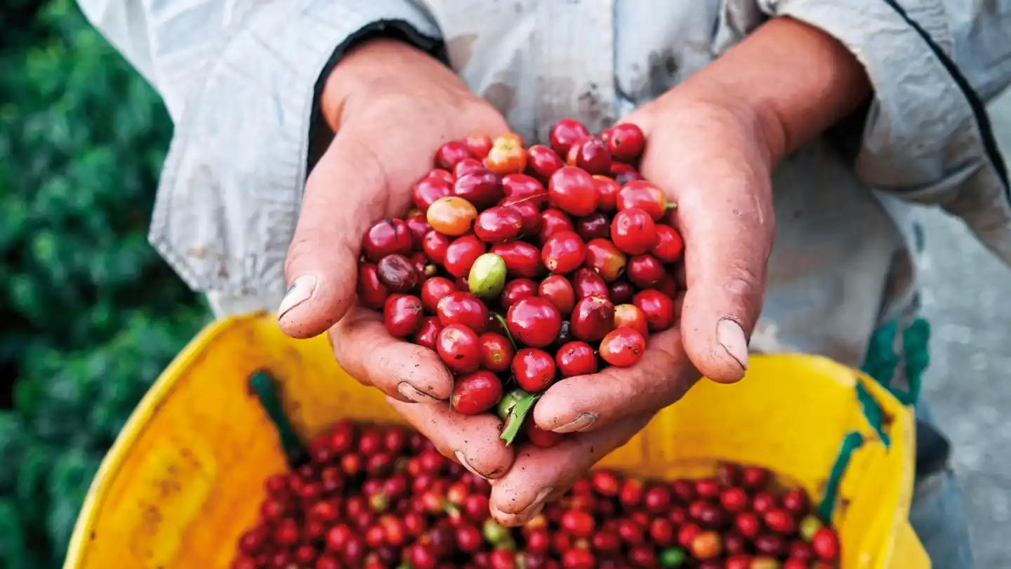 Panama & Kolumbien - von Kanalwundern, Kaffeekultur und Küstenzauber Personen