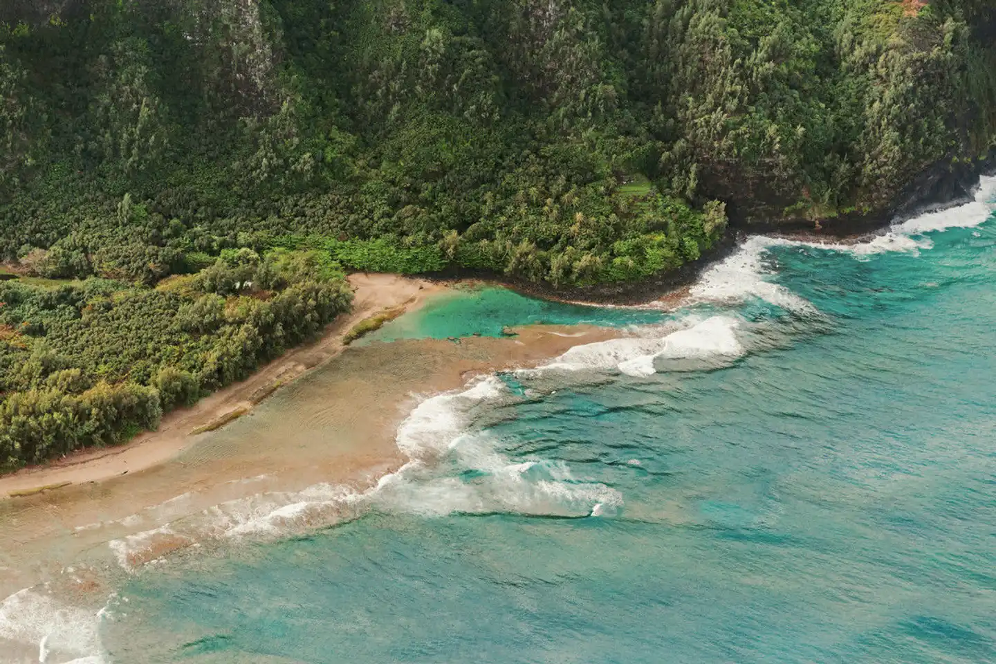 Plantation Hale Suites Landschaft