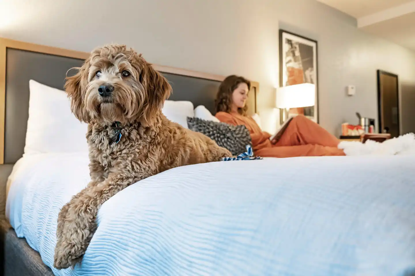 Hotel Saint Clair Tiere