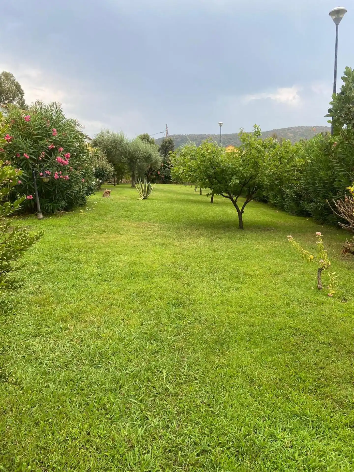 Cala Mirto Garten
