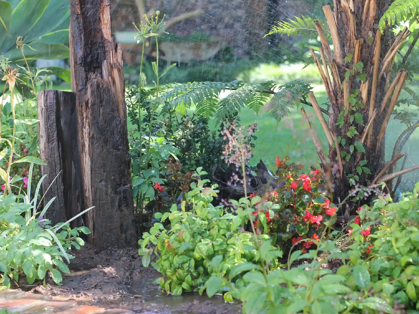 Earthbound B&B Garten