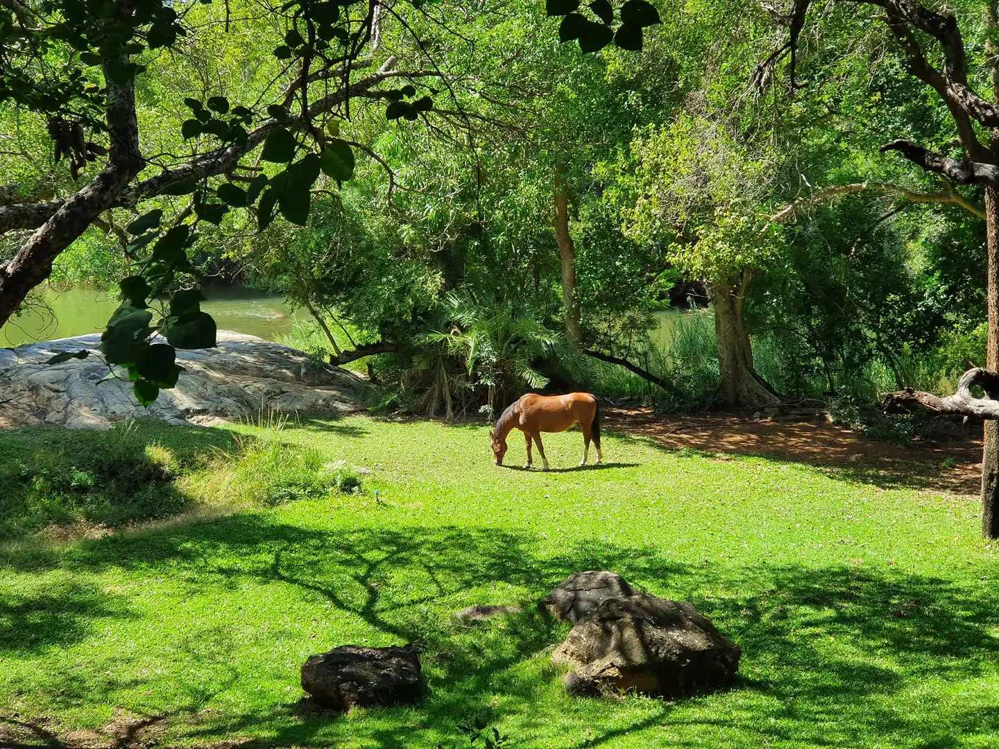 Blyde River Wilderness Lodge Tiere