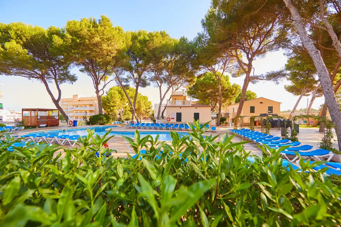 MLL Palma Bay Club Resort Pool