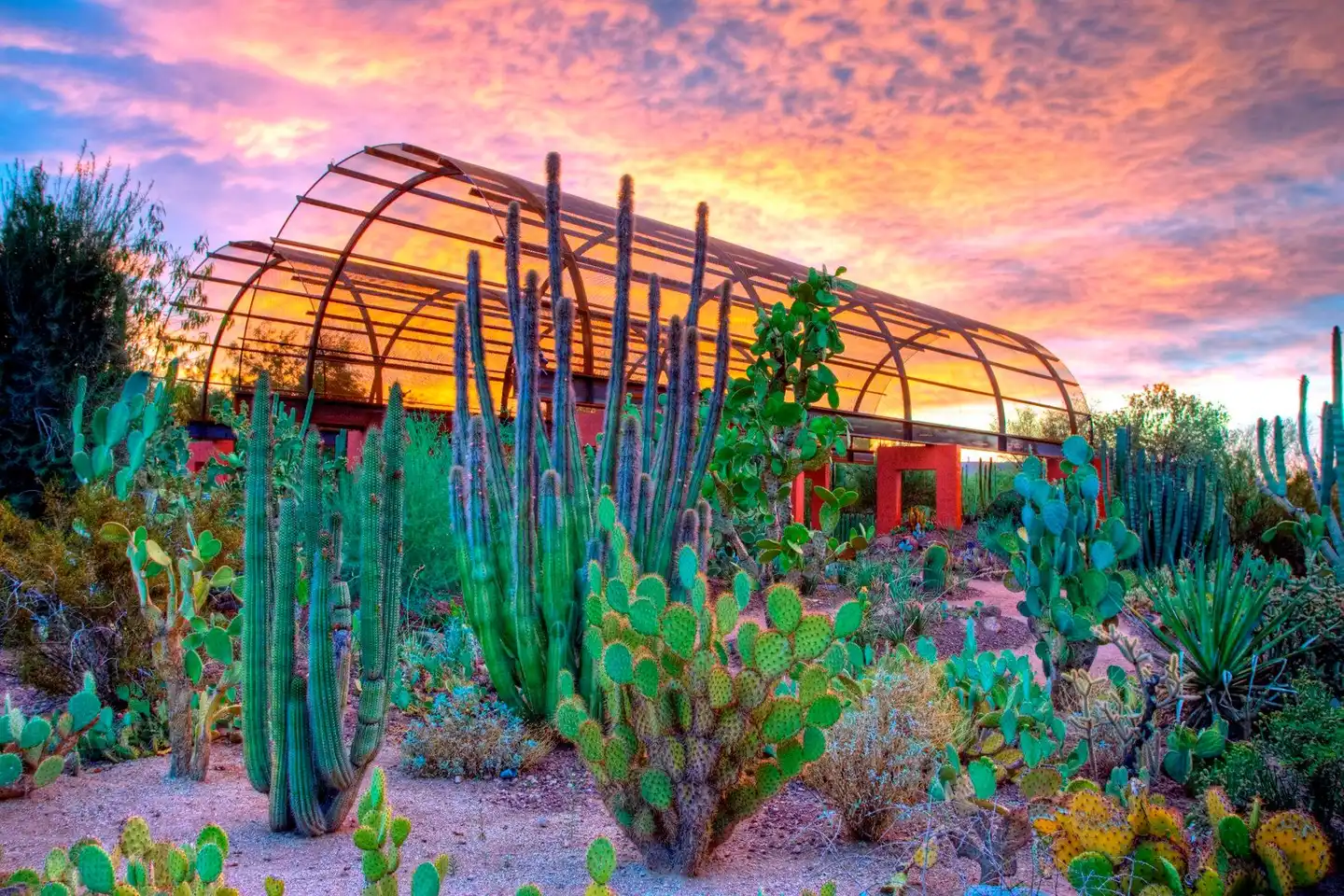 Holiday Inn Express & Suites Phoenix - Airport North Garten