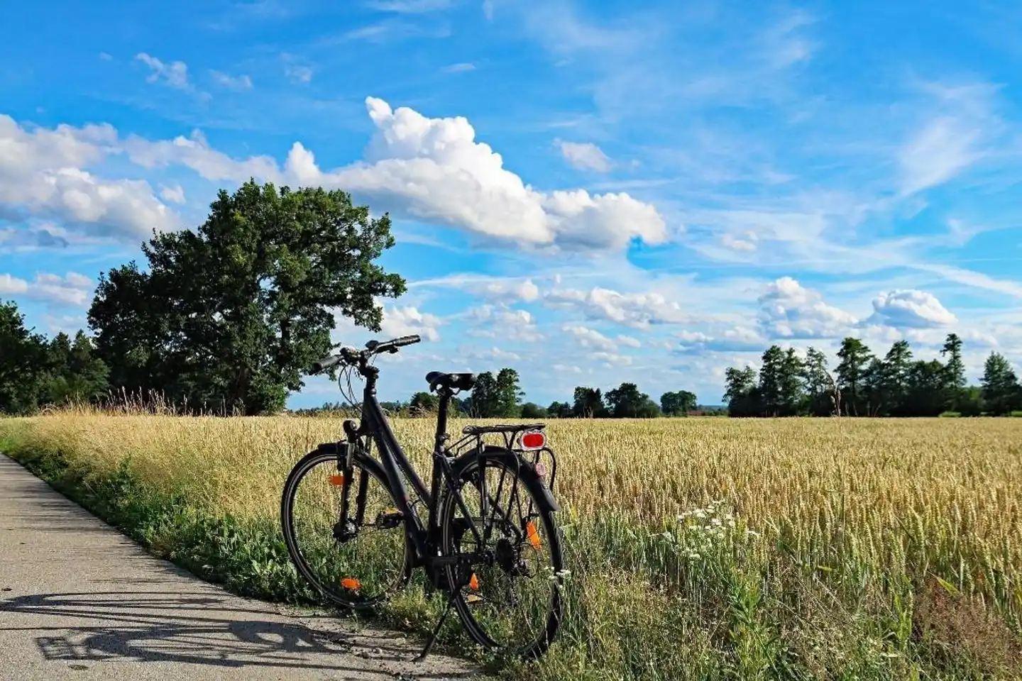 Best Western Plus Parkhotel & Spa Cottbus Landschaft
