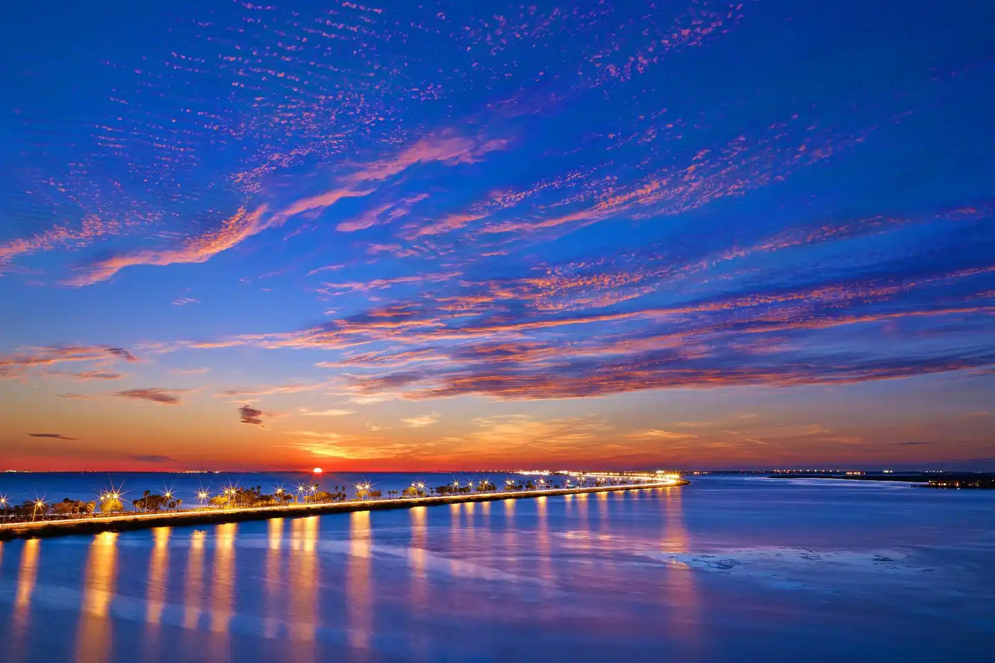 The Westin Tampa Bay Landschaft