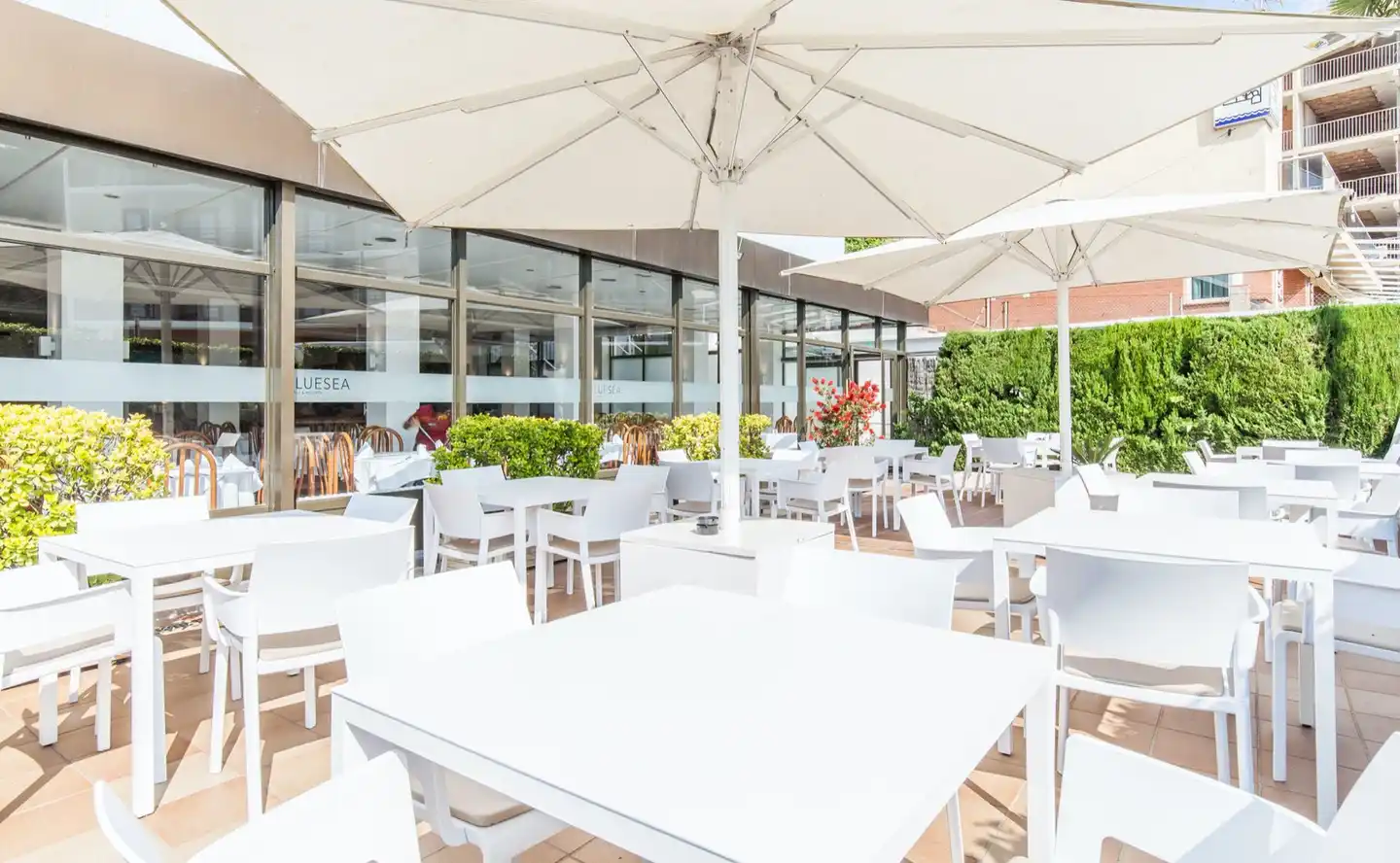 BLUESEA Montevista Hawai TERRACE