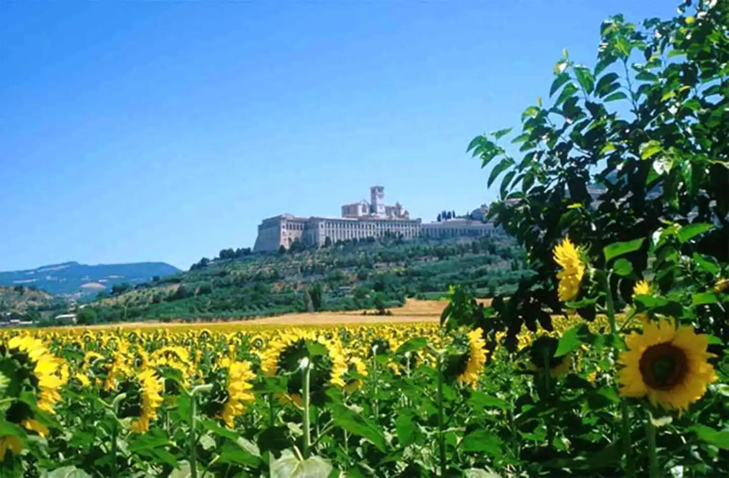 Cristallo Landschaft
