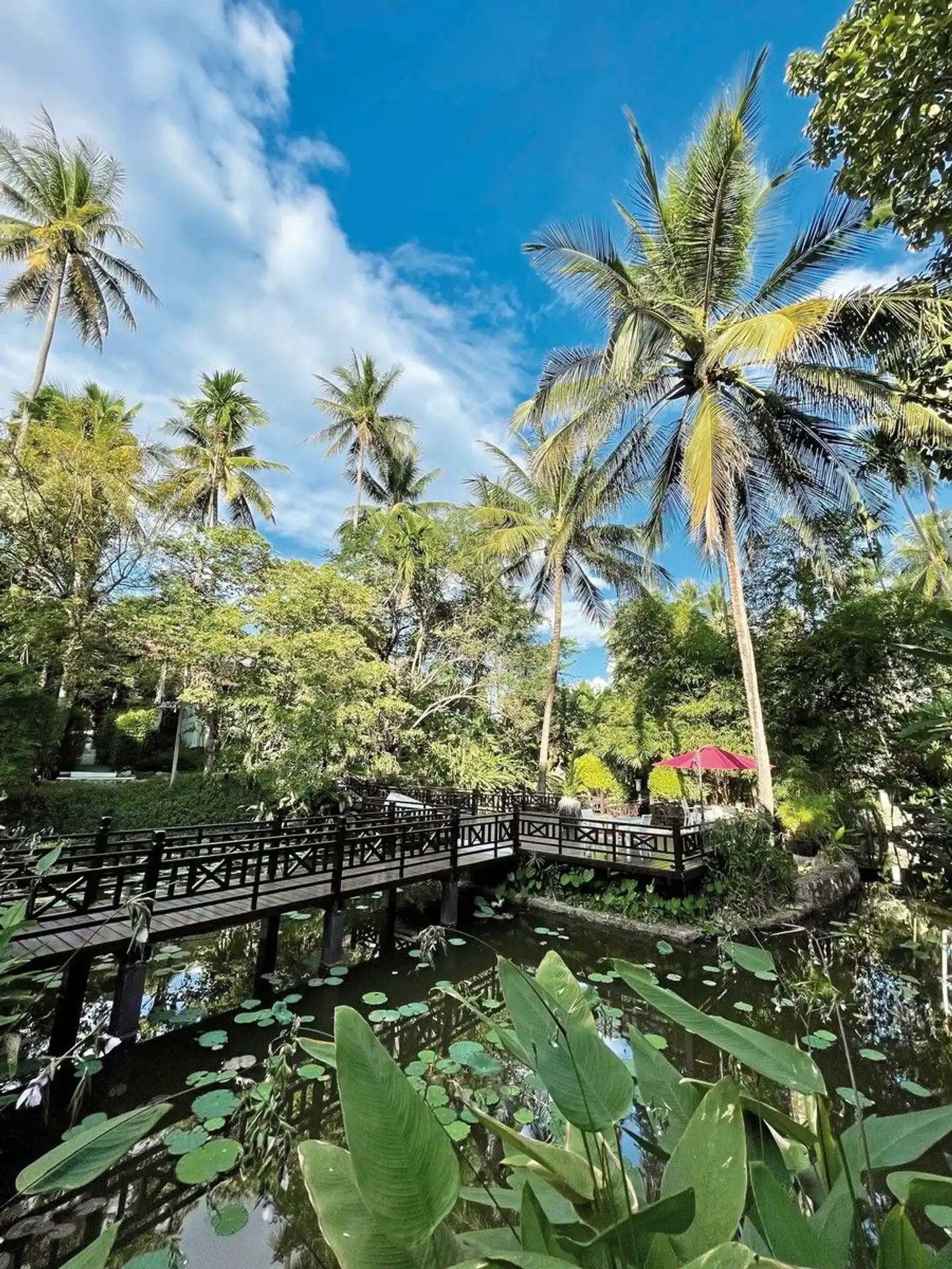 Le Parasol Blanc Luang Prabang Garten