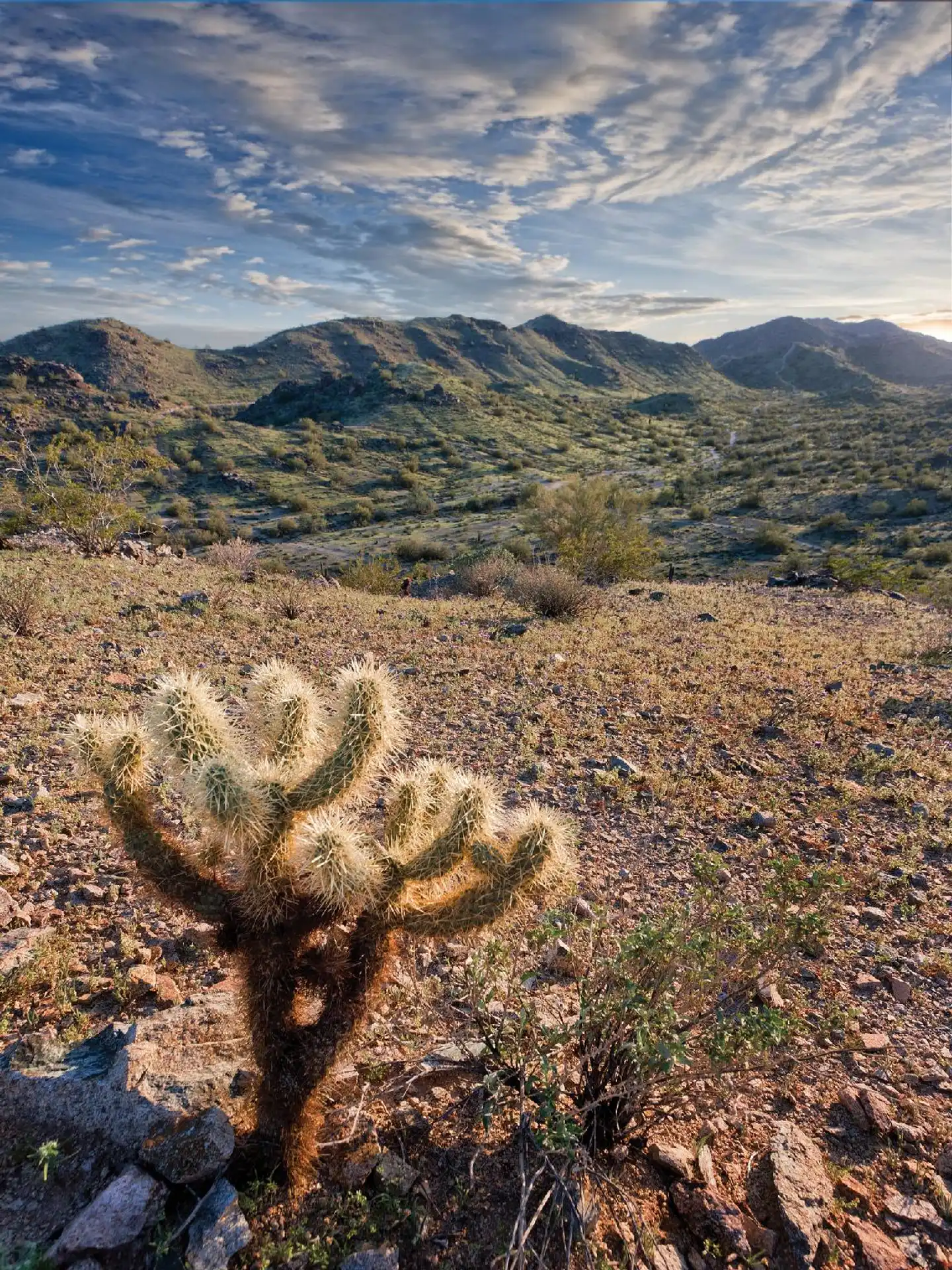 Raintree at Worldmark Phoenix South Mountain Preserve Landschaft
