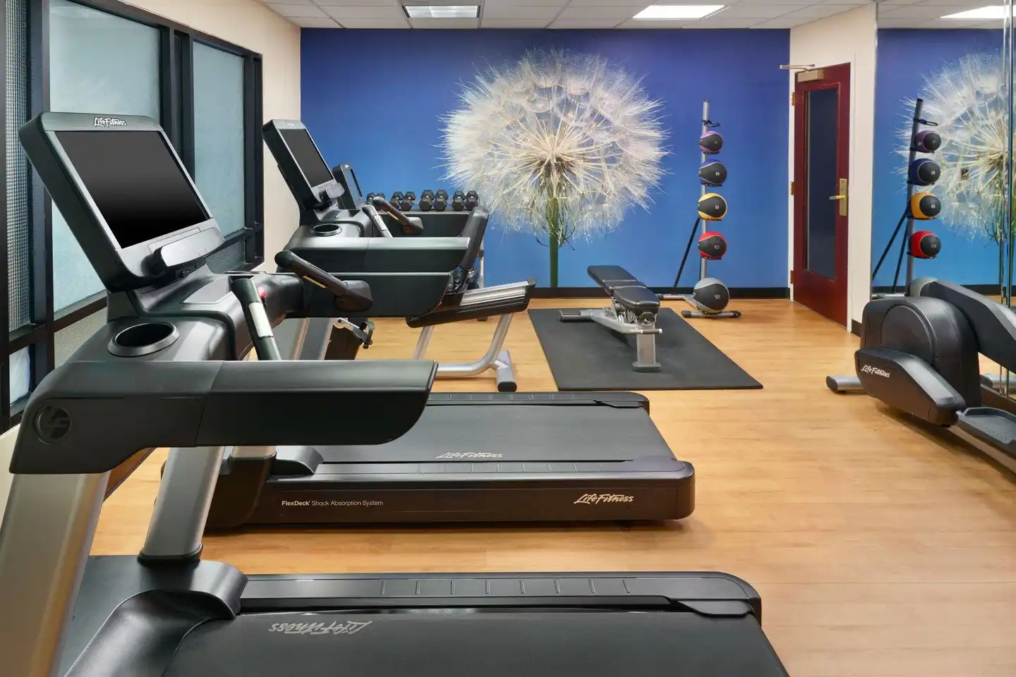 SpringHill Suites by Marriott Charlotte University Research Park Sport und Entertainment