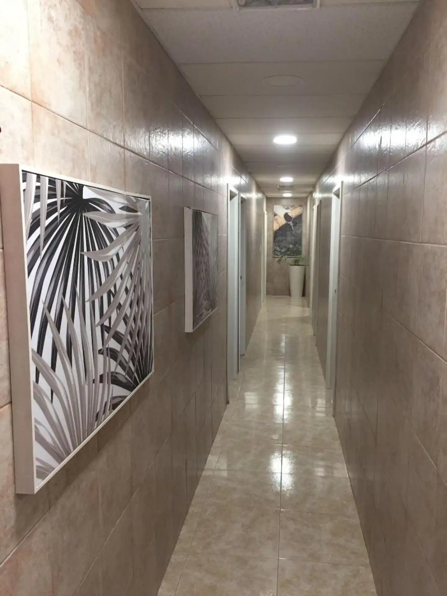 Hotel Residencia Cardona Wellness