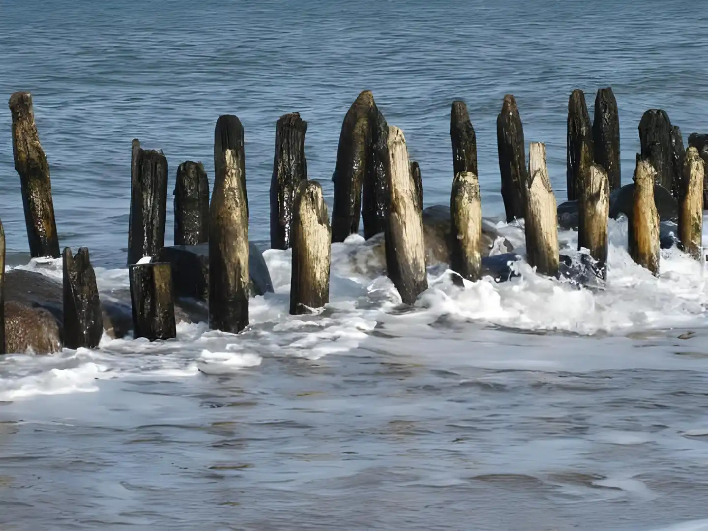 Ostsee Brauhaus Landschaft