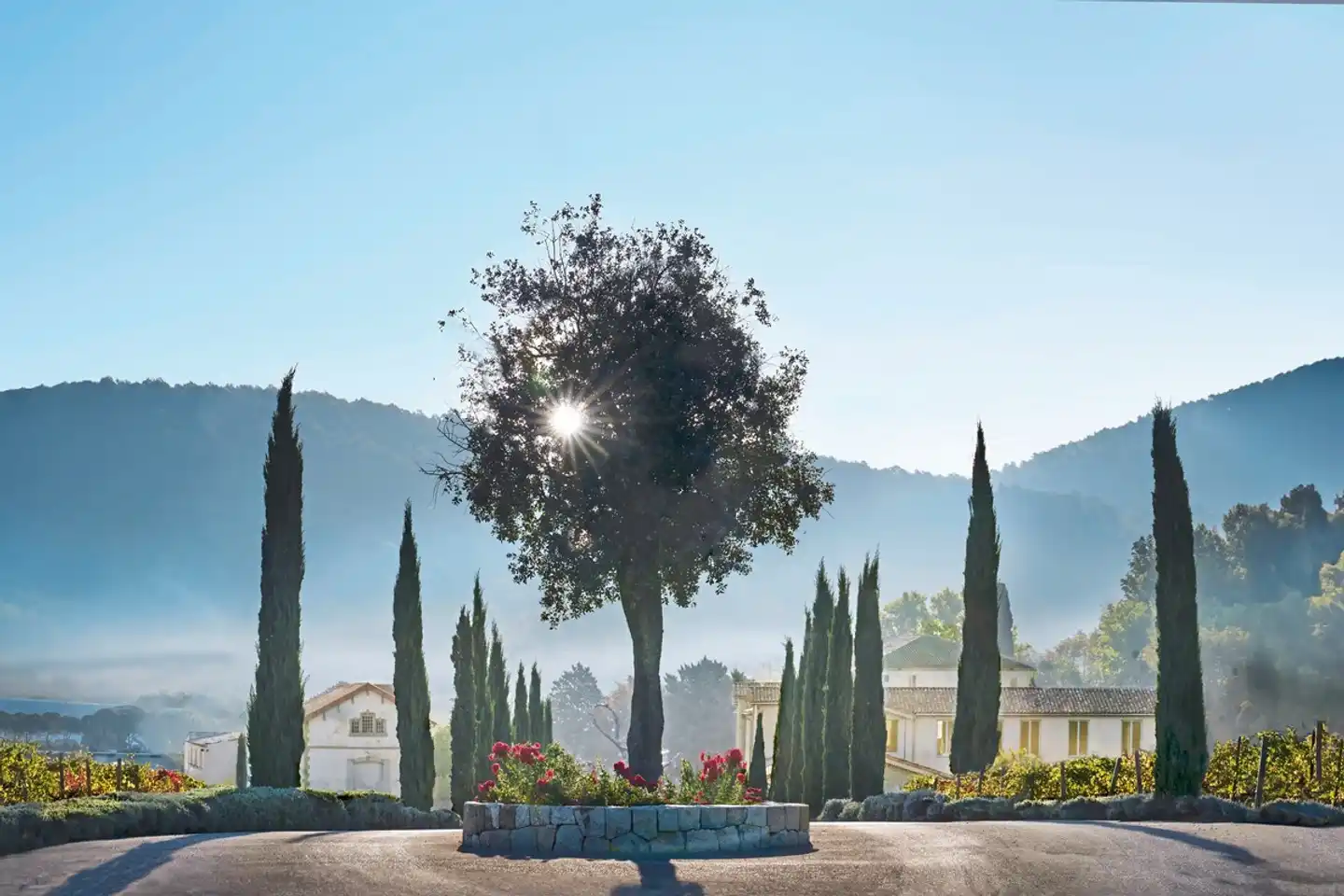 Auberge la Coste Landschaft