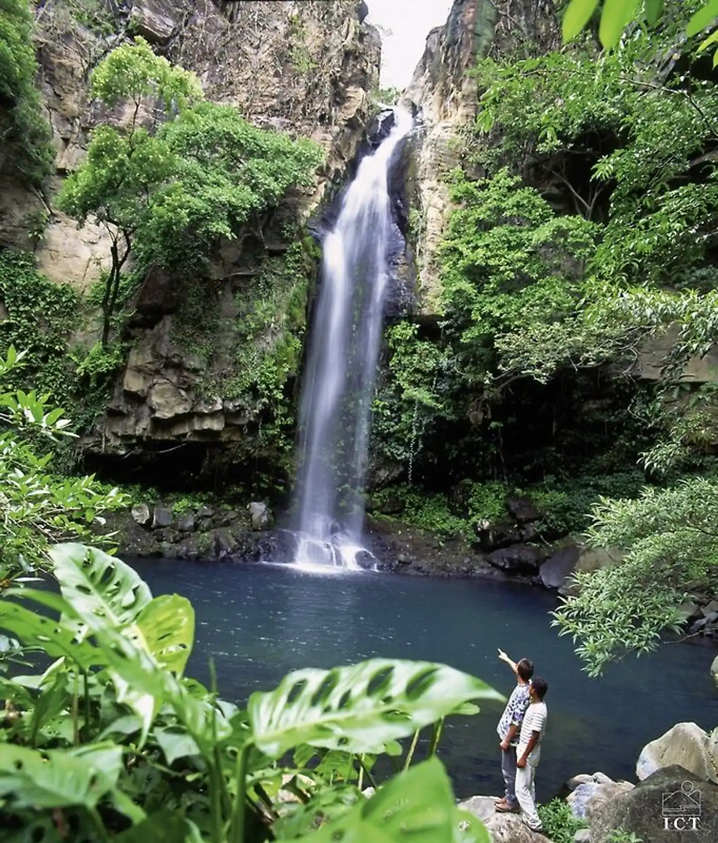 Nationalpark Rincón de le Vieja Tiere