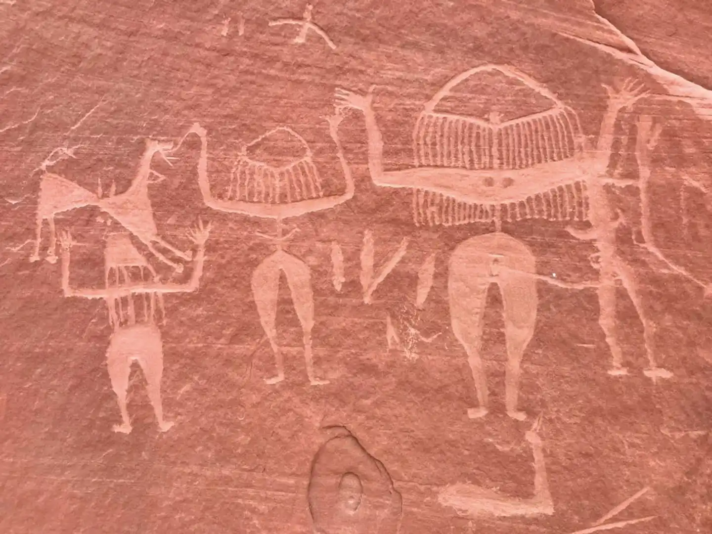 Wundervolles AlUla - Knotenpunkt der alten Weihrauchstraße Tiere
