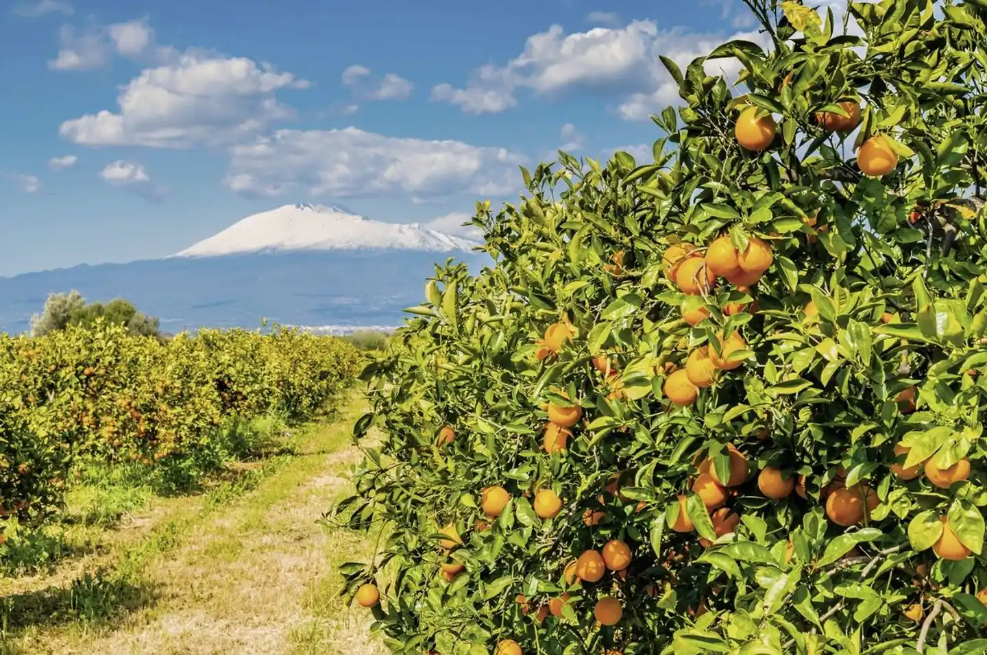 Entdeckungsreise Pantelleria (7 Nächte ab/bis Catania) Landschaft