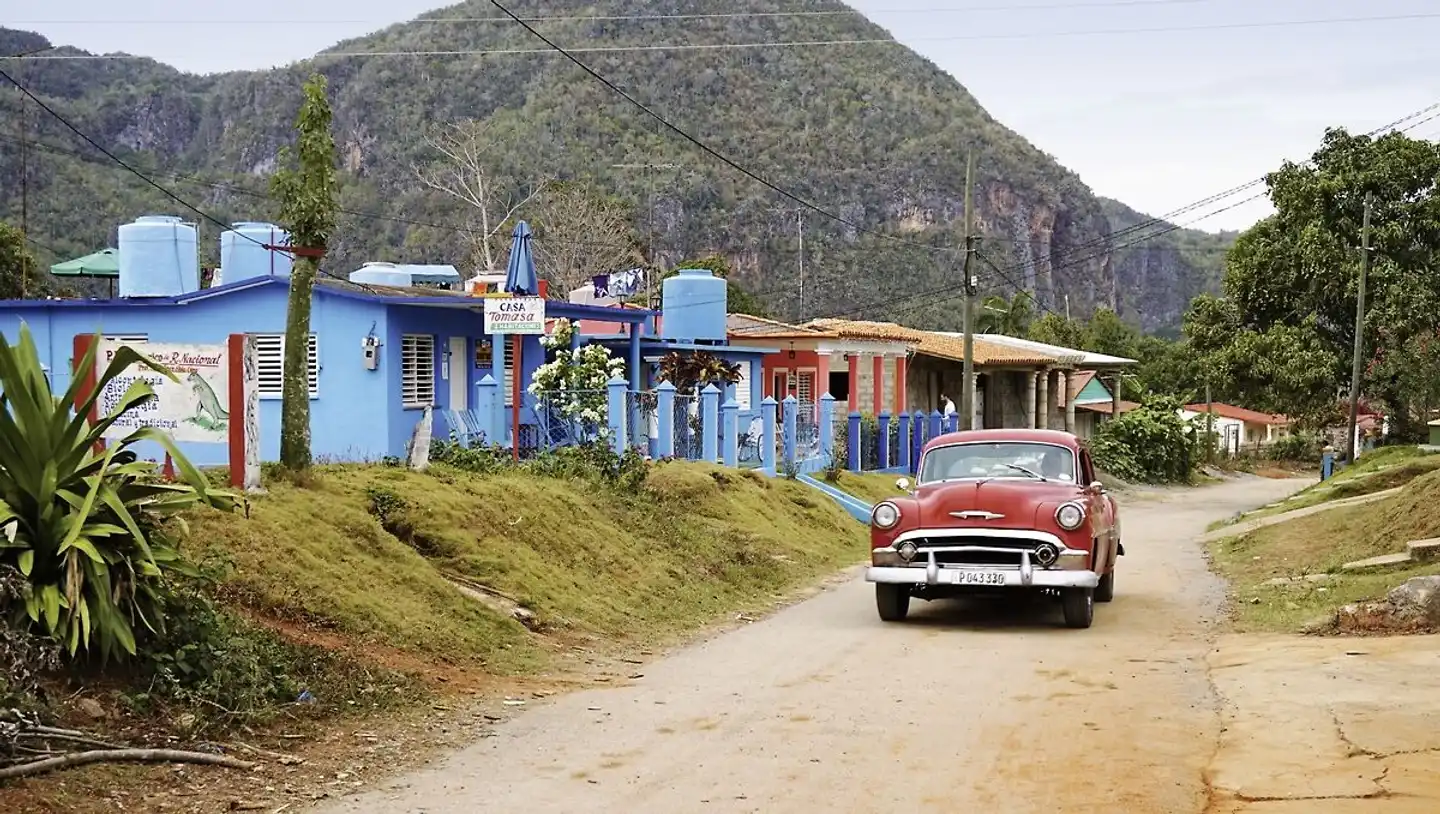 Cuba Cross Over Garten