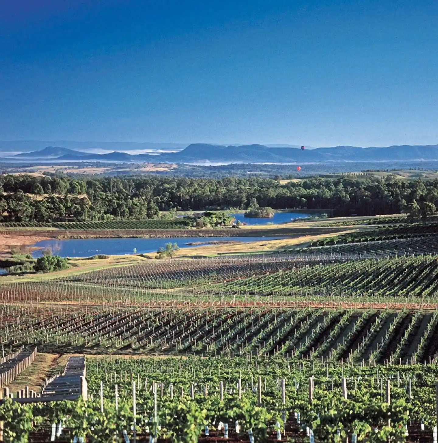Rund um Sydney - Berge, Wein & Meer Landschaft