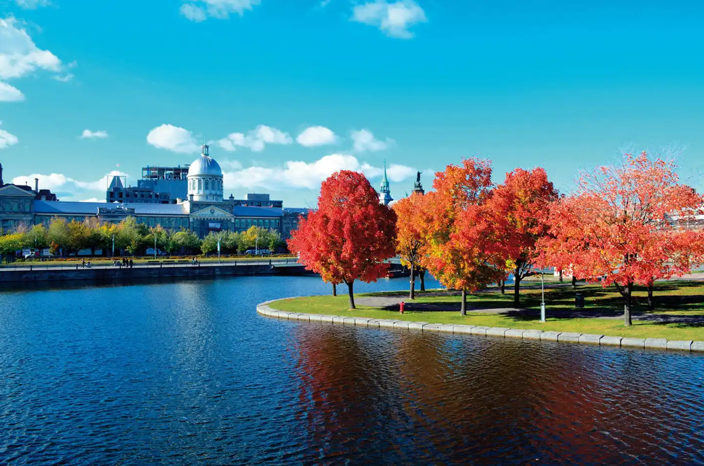 Bienvenue au Québec Pool