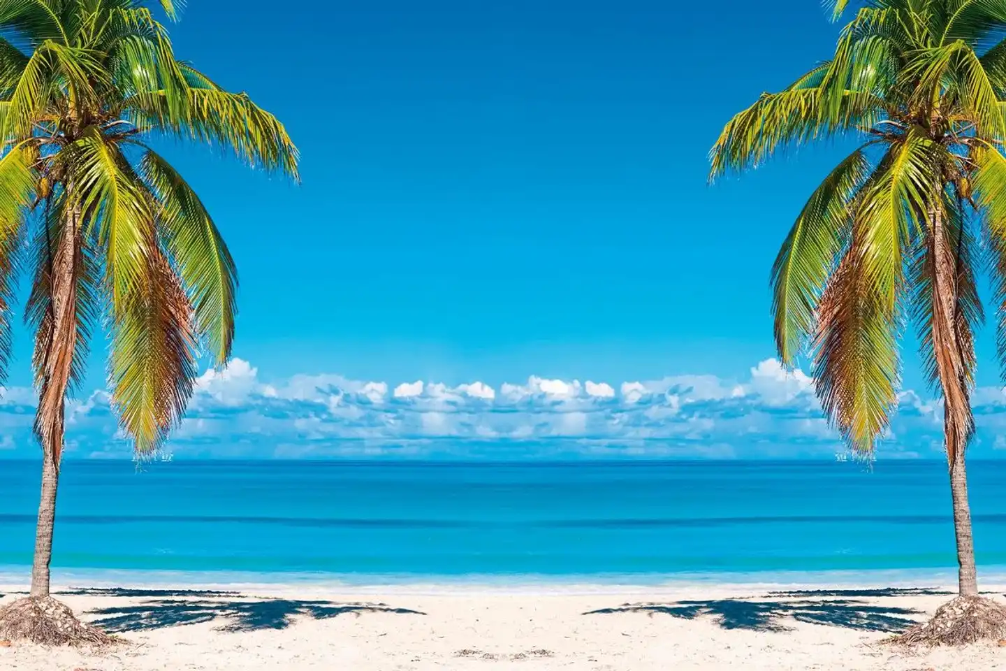 Kuba - Die besondere Insel Strand
