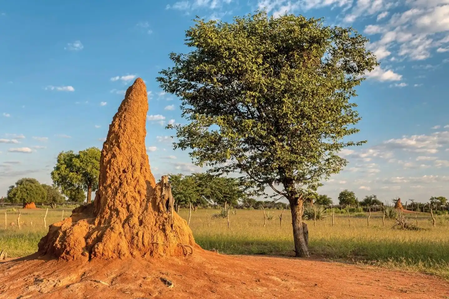 Namibia mit Kinderaugen Landschaft