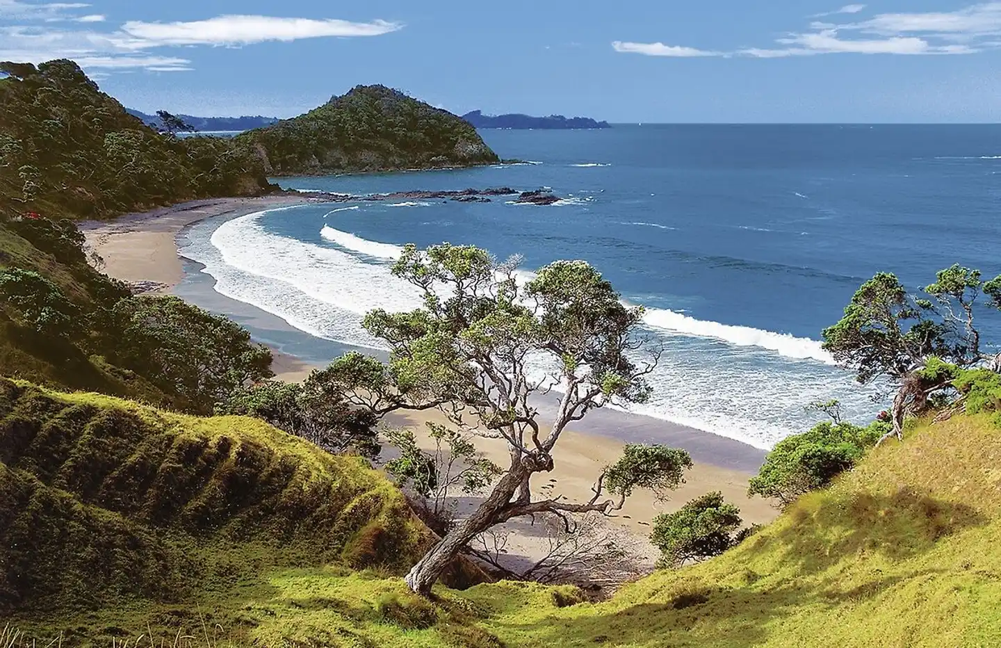 Neuseeland auf eigene Faust Landschaft