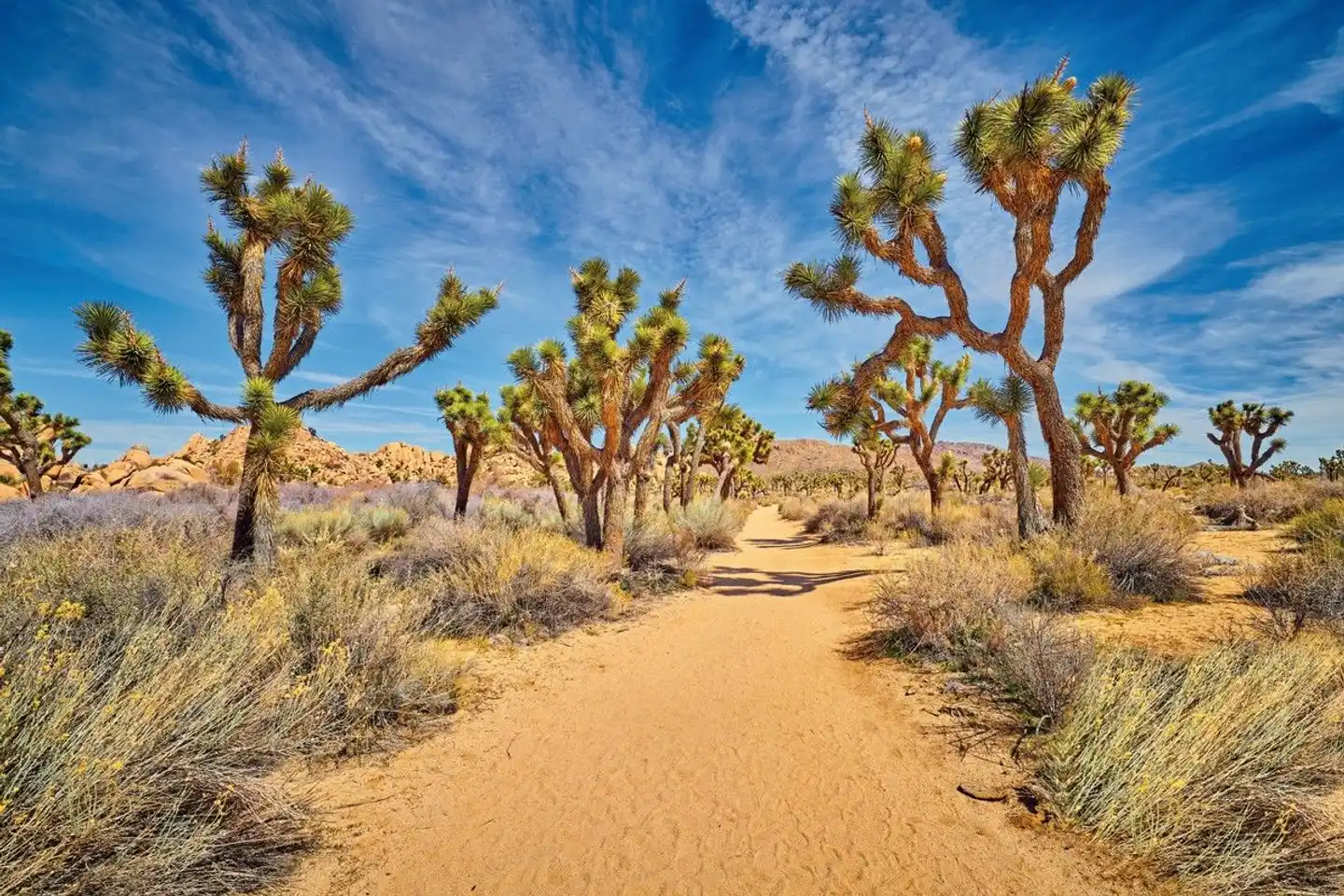 California Beach & Sun Landschaft