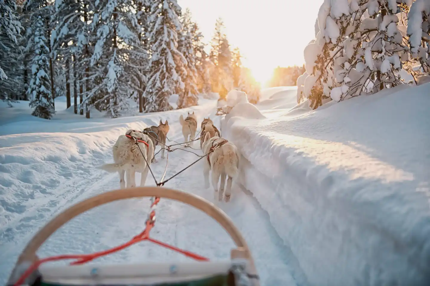 Wintertraum am Inarisee 7 Nächte Sport und Entertainment