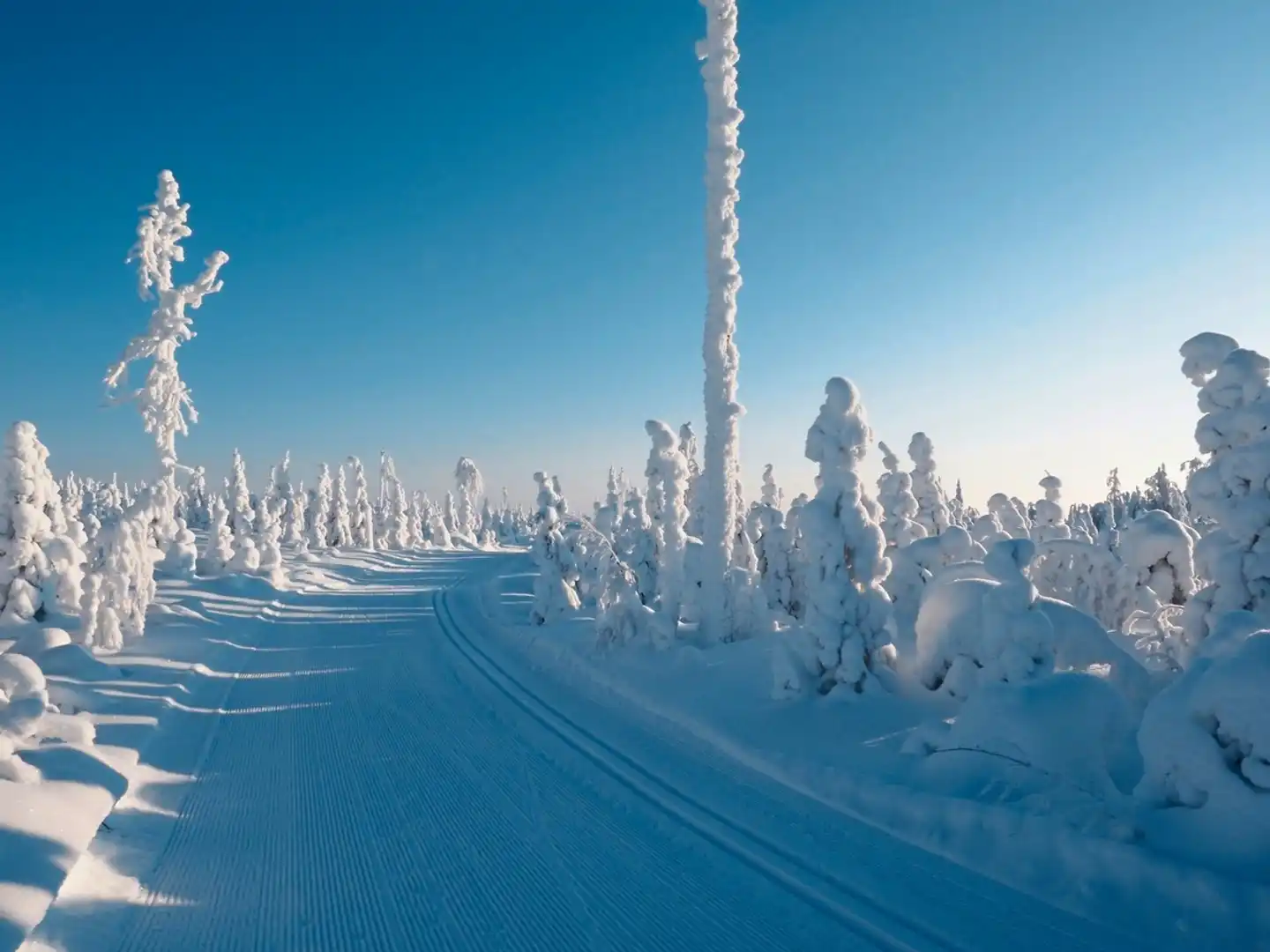 Winterabenteuer in Vuokatti - Break Sokos Hotel Vuokatti Landschaft