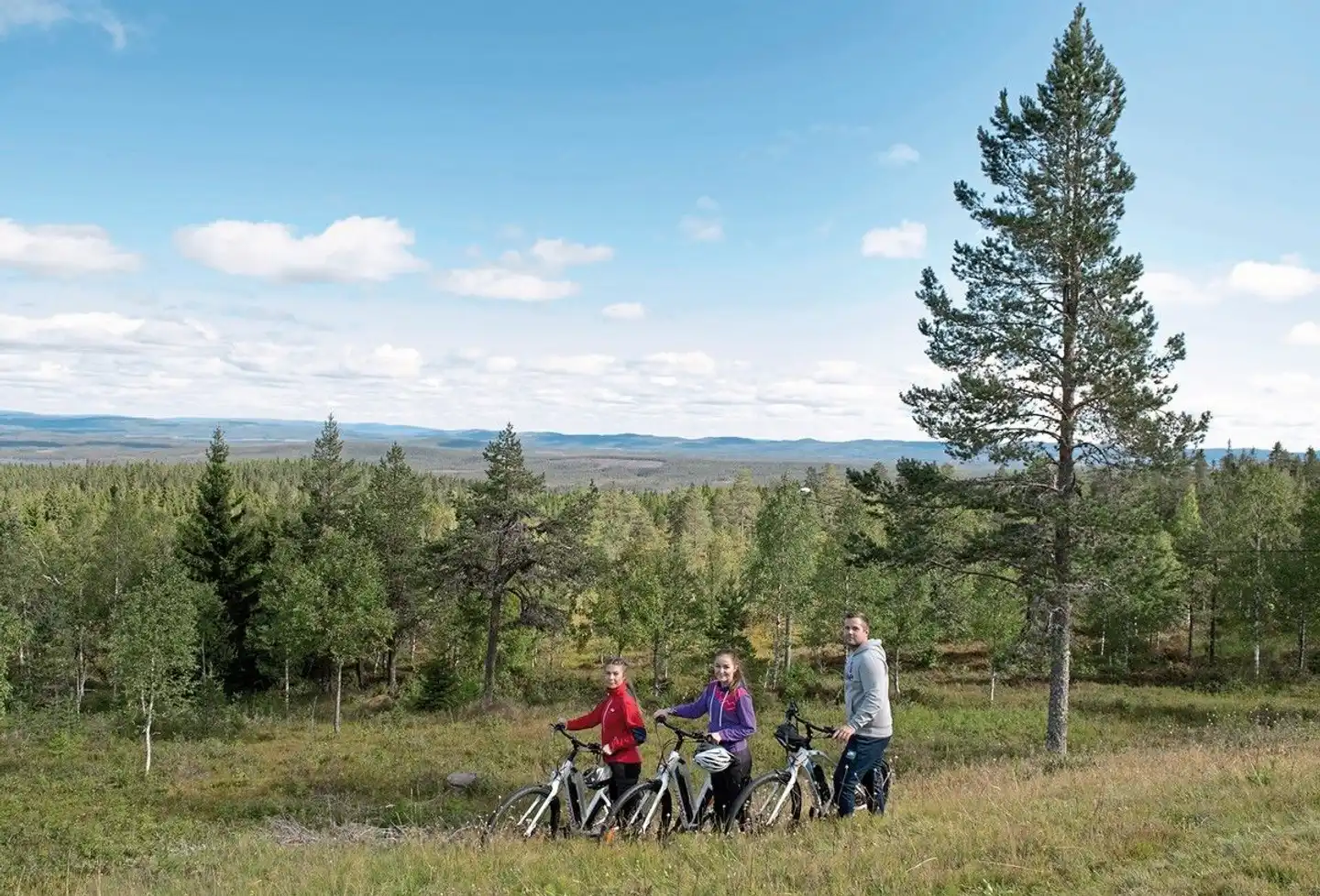 Schwedens Outdoor-Paradies Tiere