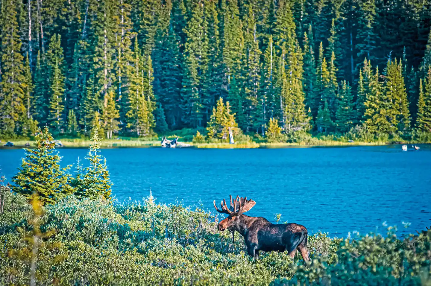Schwedens Outdoor-Paradies Landschaft