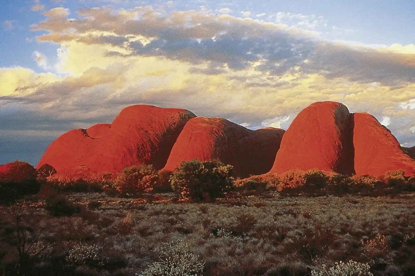 Rotes Zentrum intensiv (ab/bis Alice Springs) Tiere