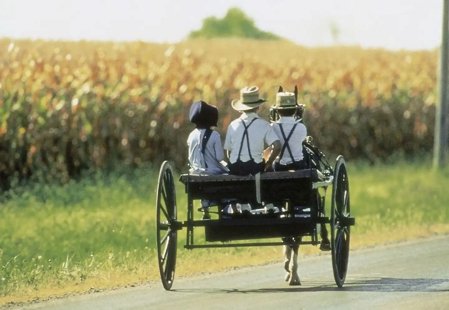 Niagarafälle, Outlet Shopping, Philadelphia & Washington, DC (4 Tage) Sport und Entertainment