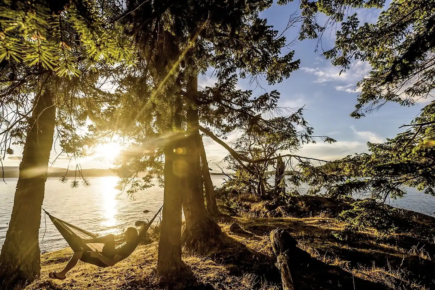 Explore the West Coast Landschaft