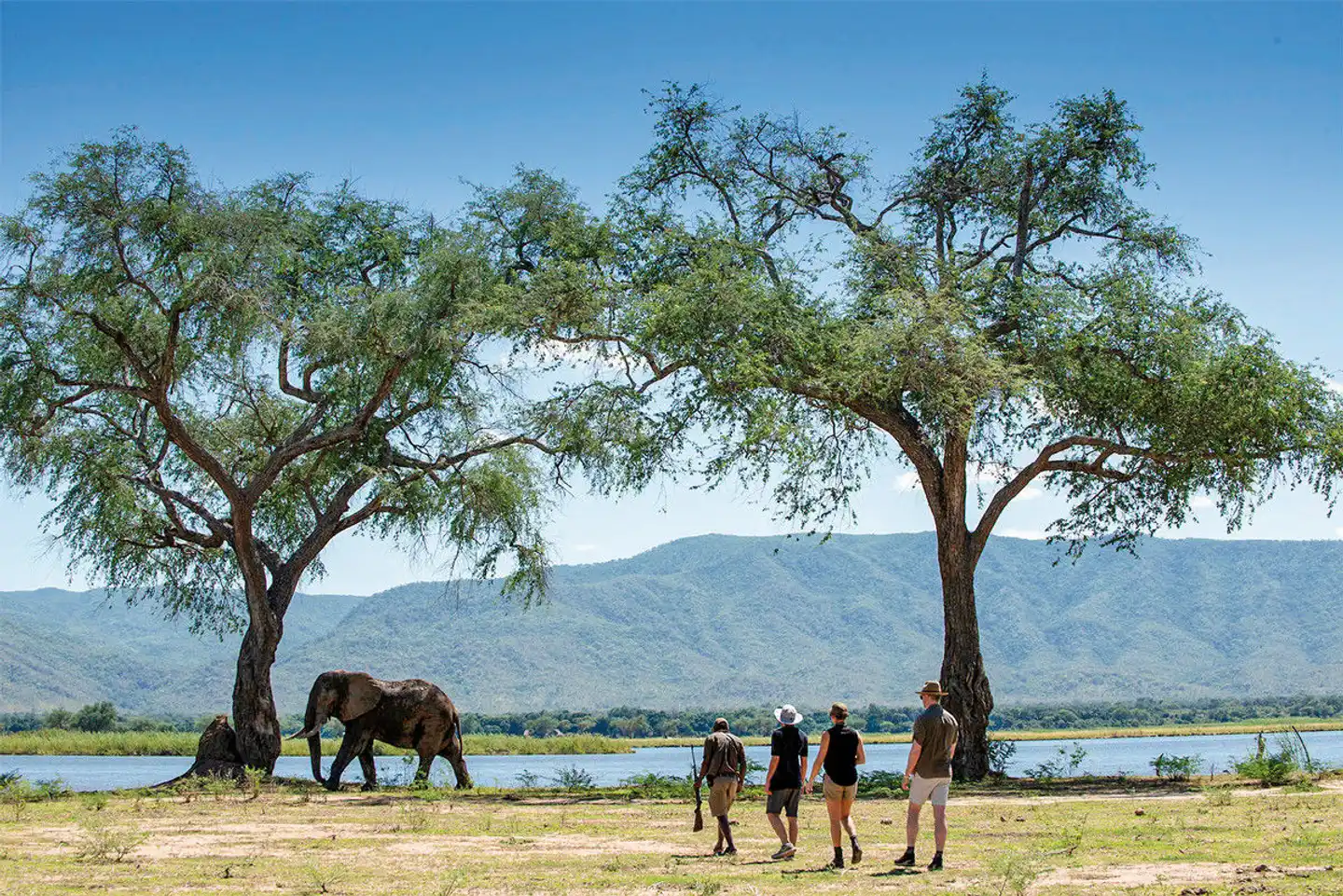 Simbabwe und Sambia für Genießer Tiere