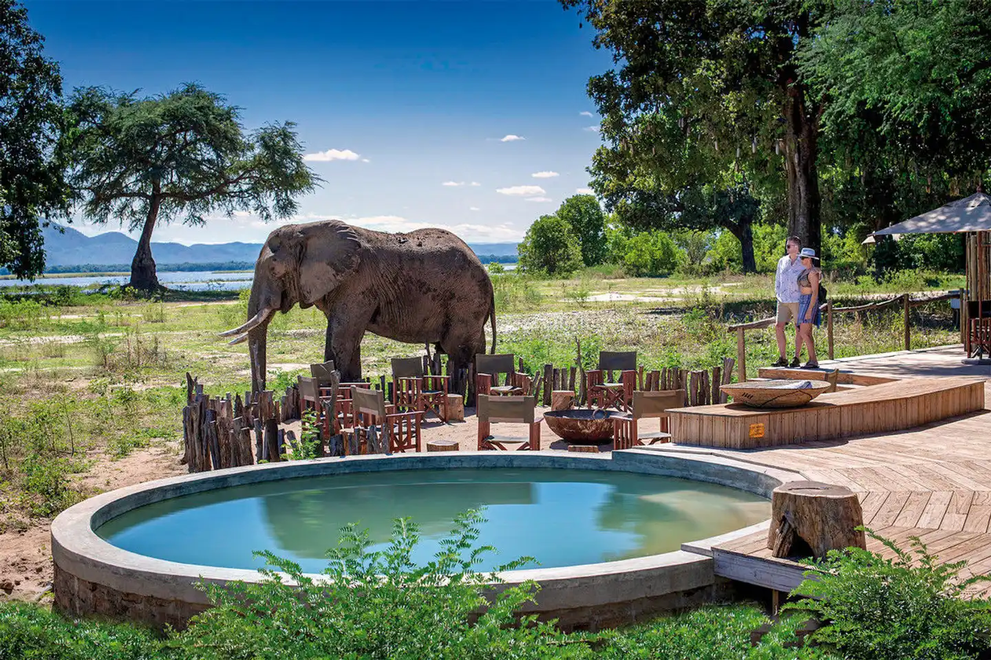 Simbabwe und Sambia für Genießer Tiere