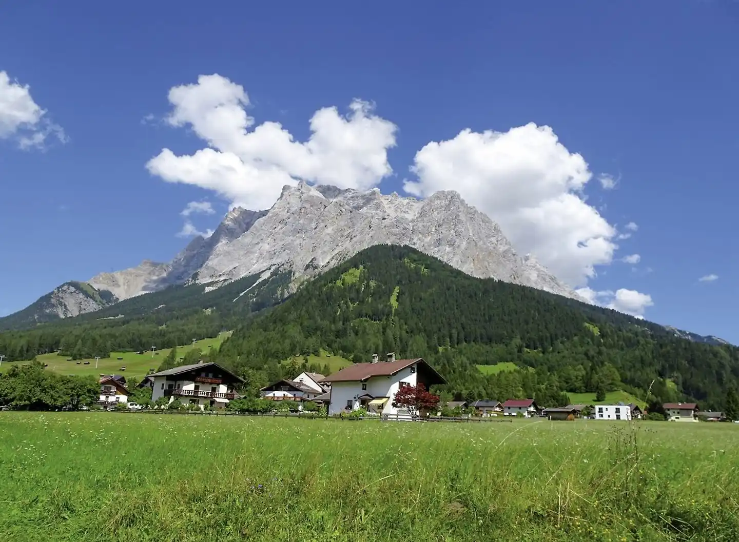 Rund um die Zugspitze Tiere