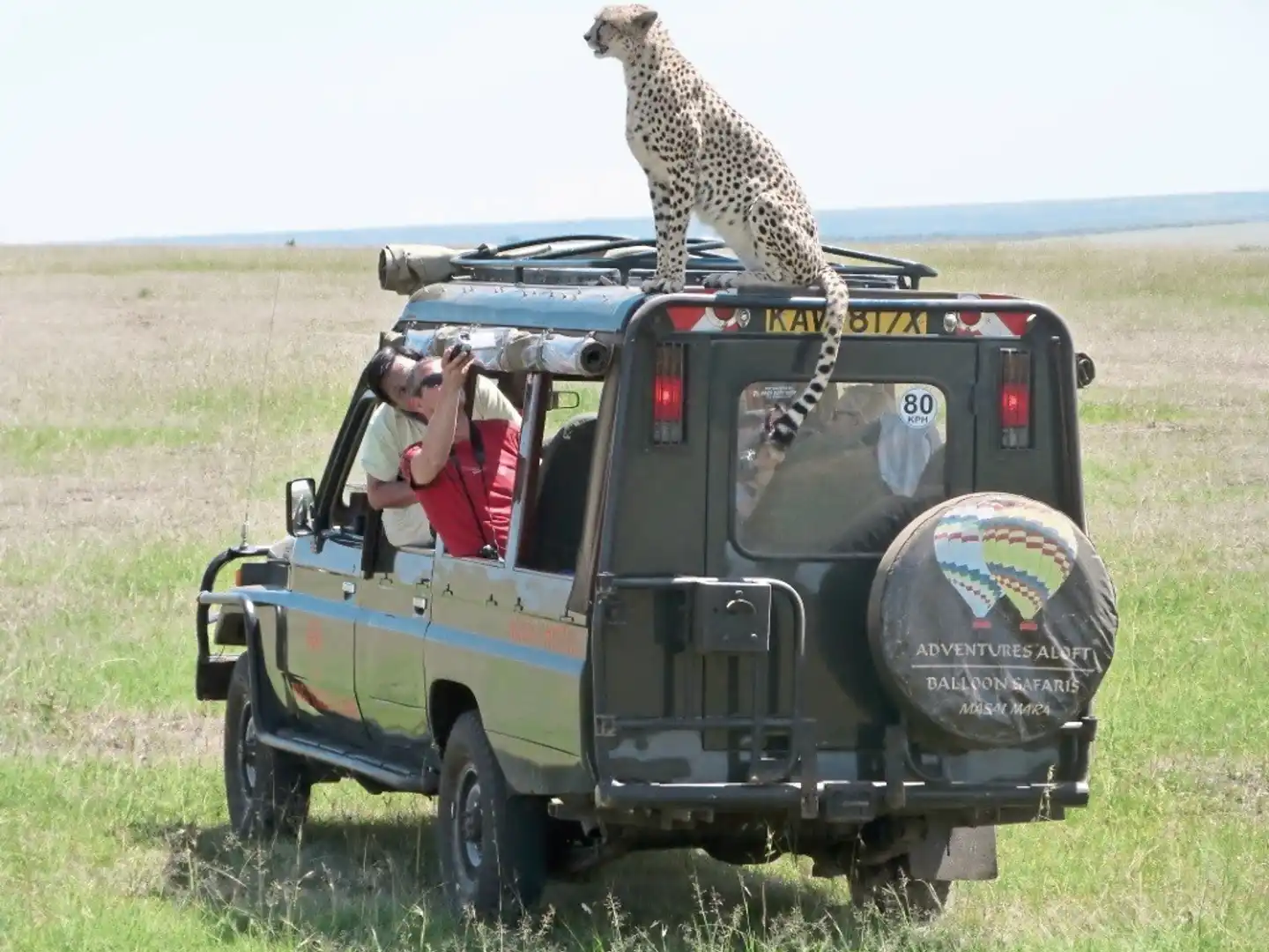 Masai Mara Fly-In Safari Superior ab/bis Nairobi Sport und Entertainment