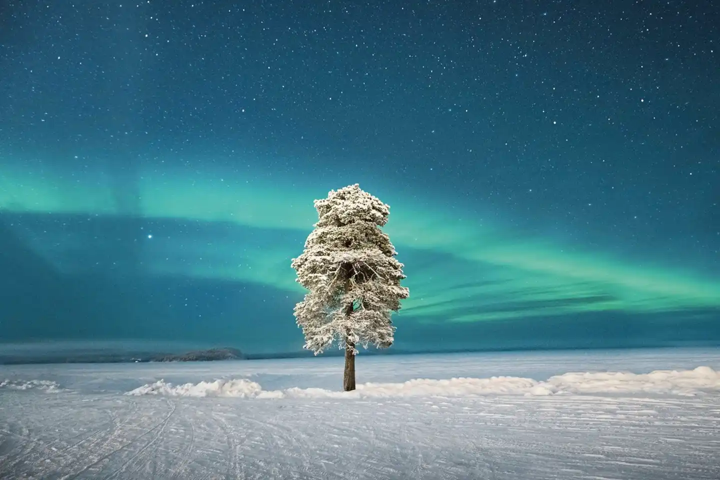 Wildnis unter dem Polarlicht - Inari Strand