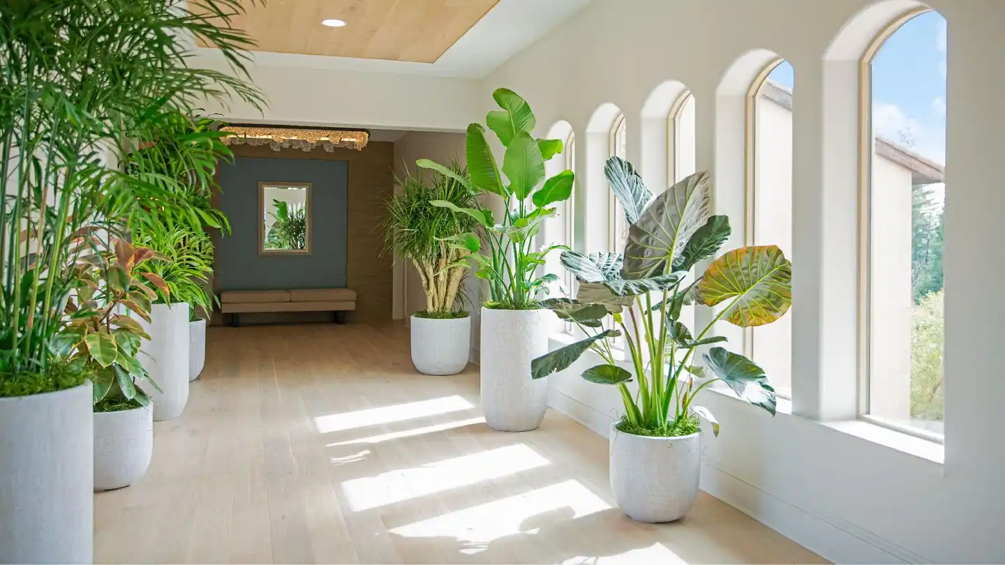 The Westin Sacramento Wellness