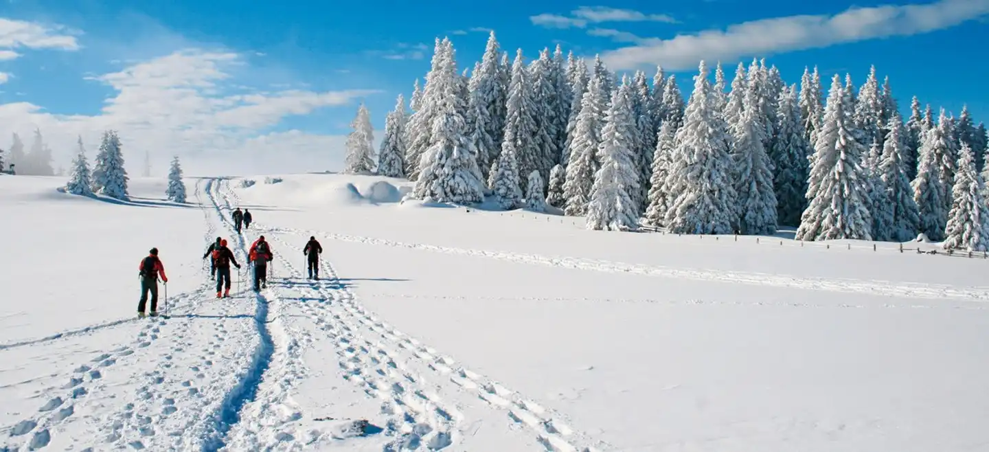 Finnische Winterwoche in der Arktis Landschaft