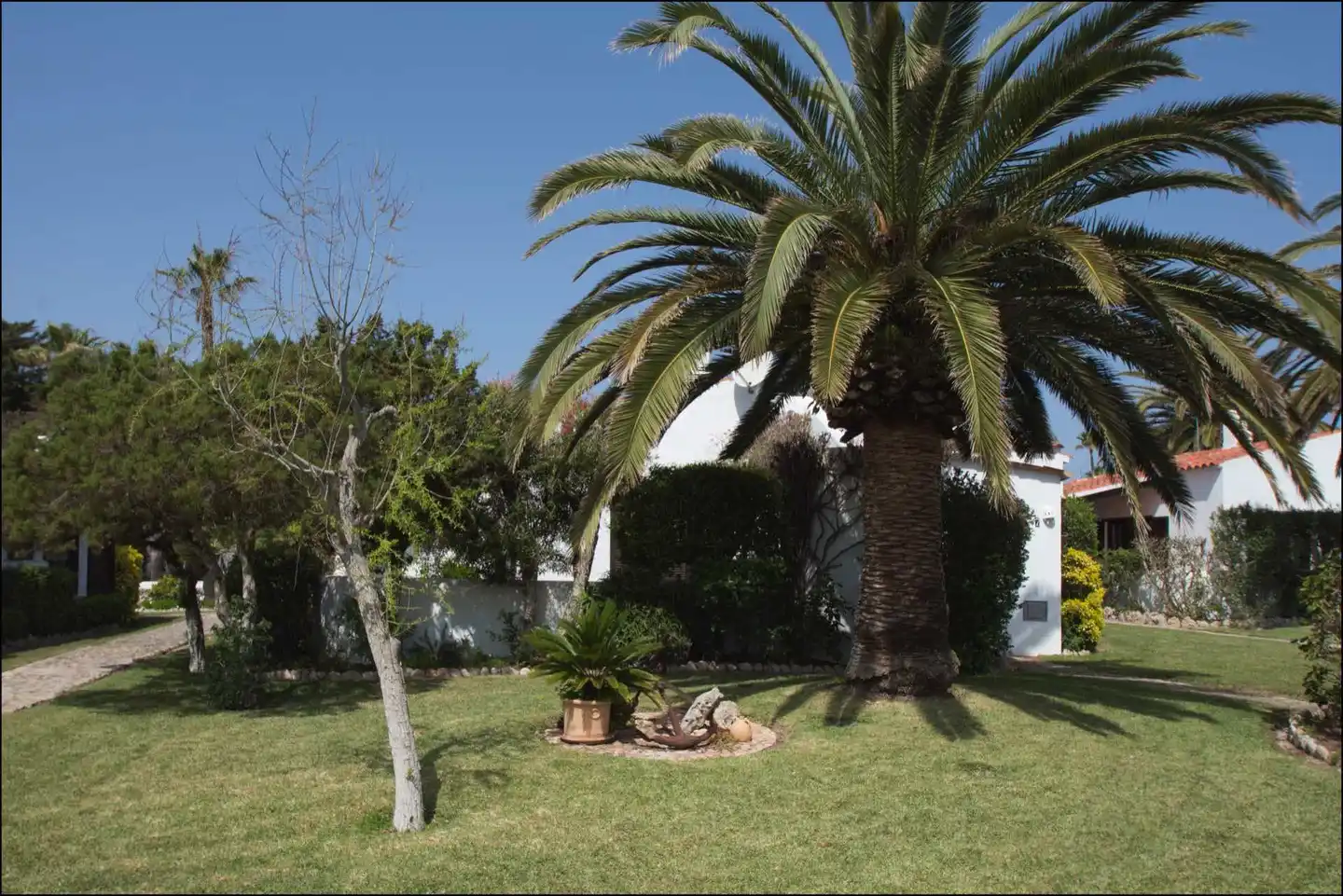 Windrose Bungalows Tiere