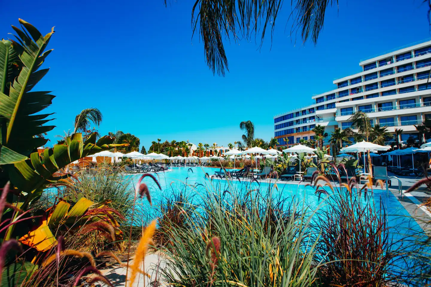 Alarcha Hotels & Resort Pool